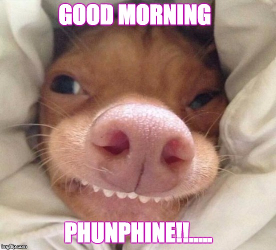 good morning | GOOD MORNING; PHUNPHINE!!..... | image tagged in good morning | made w/ Imgflip meme maker