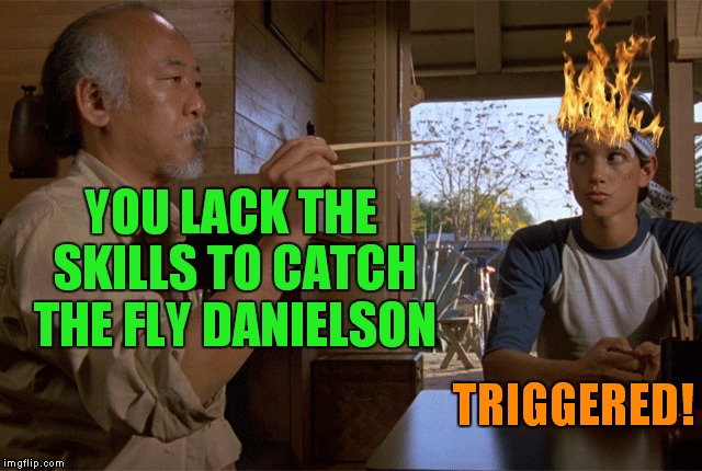Mr. Miyagi gets real... | YOU LACK THE SKILLS TO CATCH THE FLY DANIELSON; TRIGGERED! | image tagged in mr miyagi,karate kid,triggered | made w/ Imgflip meme maker