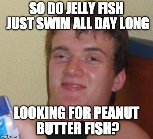 Peanut butter jelly time!!!! | SO DO JELLY FISH JUST SWIM ALL DAY LONG; LOOKING FOR PEANUT BUTTER FISH? | image tagged in memes,10 guy,peanut butter,jelly fish,pbj,iwanttobebacon | made w/ Imgflip meme maker
