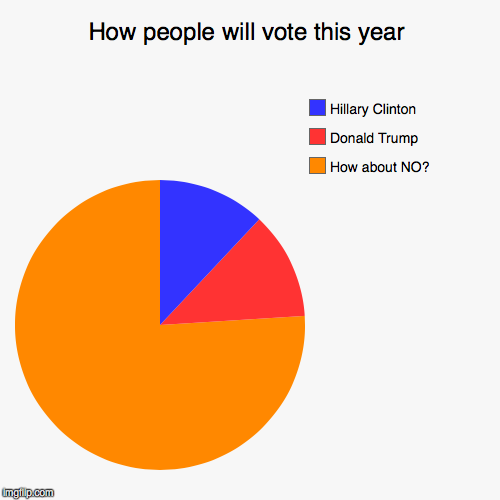My election pie chart.  Does it look about right? | image tagged in funny,pie charts | made w/ Imgflip chart maker