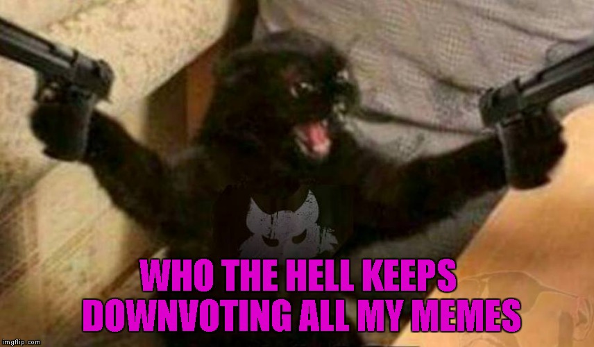 This one is for all the trolls and the troll fighters... Keep fighting the good fight! | WHO THE HELL KEEPS DOWNVOTING ALL MY MEMES | image tagged in cat with guns,memes,cats,funny,funny animals,animals | made w/ Imgflip meme maker