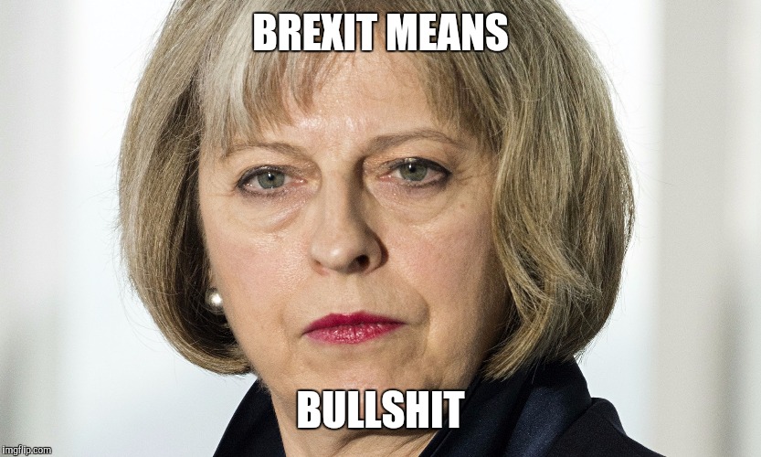 Brexit means... | BREXIT MEANS; BULLSHIT | image tagged in theresa may,brexit | made w/ Imgflip meme maker