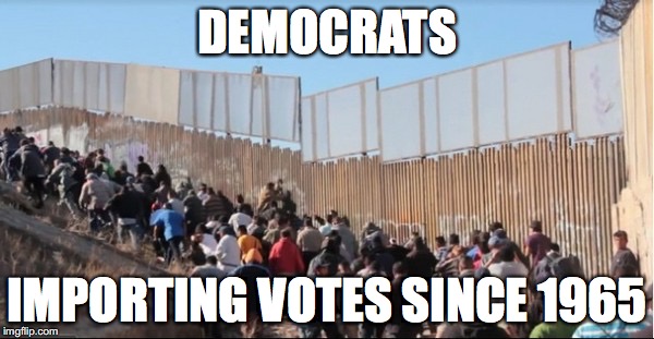 The Real Voter Fraud | DEMOCRATS; IMPORTING VOTES SINCE 1965 | image tagged in illegal immigrants,voter fraud,trump,neverhillary,build a wall | made w/ Imgflip meme maker