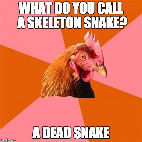 Anti Joke Chicken Meme | WHAT DO YOU CALL A SKELETON SNAKE? A DEAD SNAKE | image tagged in memes,anti joke chicken | made w/ Imgflip meme maker