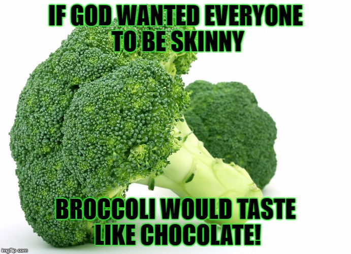 Broccoli | IF GOD WANTED EVERYONE TO BE SKINNY; BROCCOLI WOULD TASTE LIKE CHOCOLATE! | image tagged in broccoli | made w/ Imgflip meme maker
