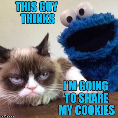 Better go back to Sesame Street Cookie Monster... | THIS GUY THINKS; I'M GOING TO SHARE MY COOKIES | image tagged in grumpy cat,grumpy cat not amused,my cookie,cookie monster love story | made w/ Imgflip meme maker