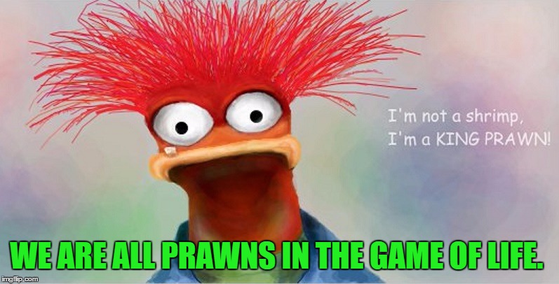 Pepe Prawn | WE ARE ALL PRAWNS IN THE GAME OF LIFE. | image tagged in pepe the king prawn,memes,funny,puns | made w/ Imgflip meme maker