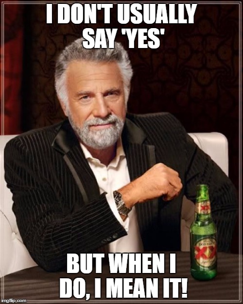 I DON'T USUALLY SAY 'YES' BUT WHEN I DO, I MEAN IT! | image tagged in memes,the most interesting man in the world | made w/ Imgflip meme maker