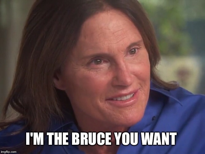 I'M THE BRUCE YOU WANT | made w/ Imgflip meme maker