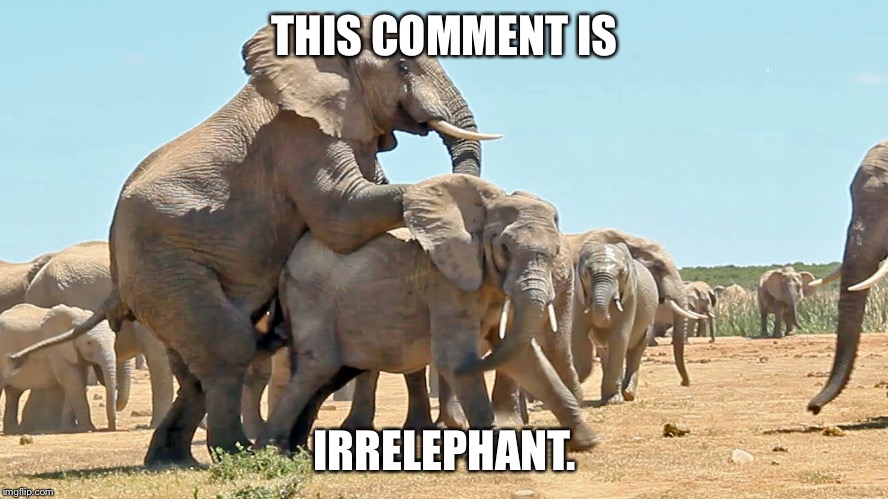 THIS COMMENT IS IRRELEPHANT. | made w/ Imgflip meme maker