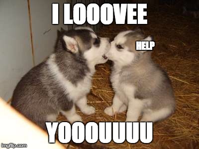 Cute Puppies | I LOOOVEE; HELP; YOOOUUUU | image tagged in memes,cute puppies | made w/ Imgflip meme maker