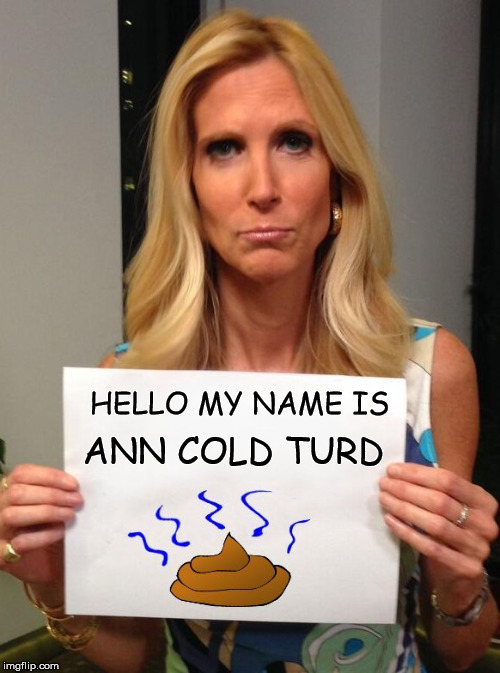 HELLO MY NAME IS; ANN COLD TURD | image tagged in ann coulter hashtag,annoying,turd,this bitch,stupid girl,lame | made w/ Imgflip meme maker