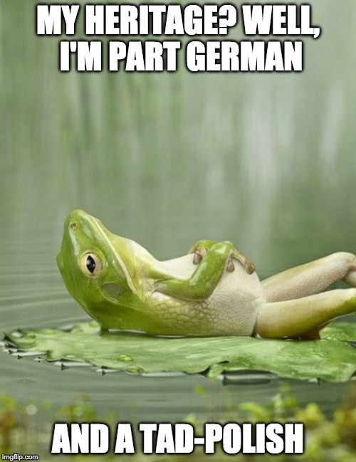 I couldn't find a bad pun frog | MY HERITAGE? WELL, I'M PART GERMAN; AND A TAD-POLISH | image tagged in chillinfrog,bad pun,iwanttobebacon,frog,polish,kermit the frog | made w/ Imgflip meme maker