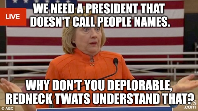 Hillary Clinton Fail | WE NEED A PRESIDENT THAT DOESN'T CALL PEOPLE NAMES. WHY DON'T YOU DEPLORABLE, REDNECK TWATS UNDERSTAND THAT? | image tagged in hillary clinton fail | made w/ Imgflip meme maker