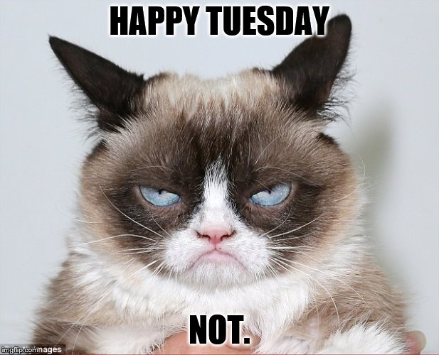 Happy Tuesday | HAPPY TUESDAY; NOT. | image tagged in happy tuesday | made w/ Imgflip meme maker