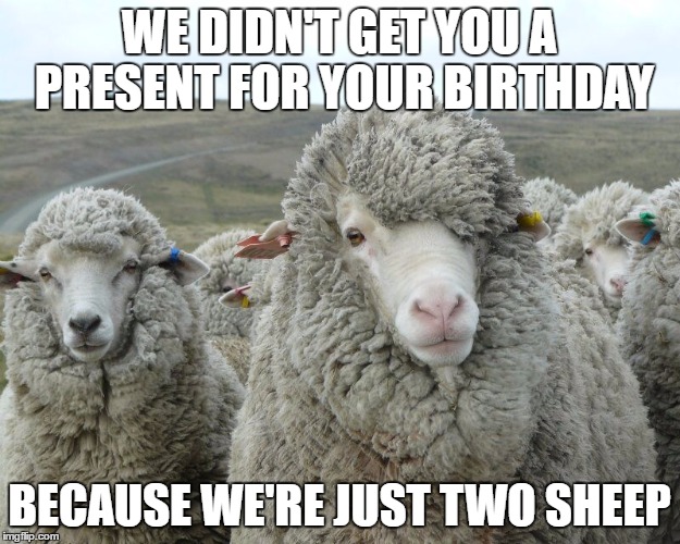 Sheep Flock | WE DIDN'T GET YOU A PRESENT FOR YOUR BIRTHDAY; BECAUSE WE'RE JUST TWO SHEEP | image tagged in sheep flock | made w/ Imgflip meme maker