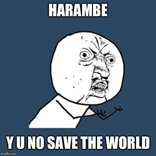 Y U No Meme | HARAMBE Y U NO SAVE THE WORLD | image tagged in memes,y u no | made w/ Imgflip meme maker