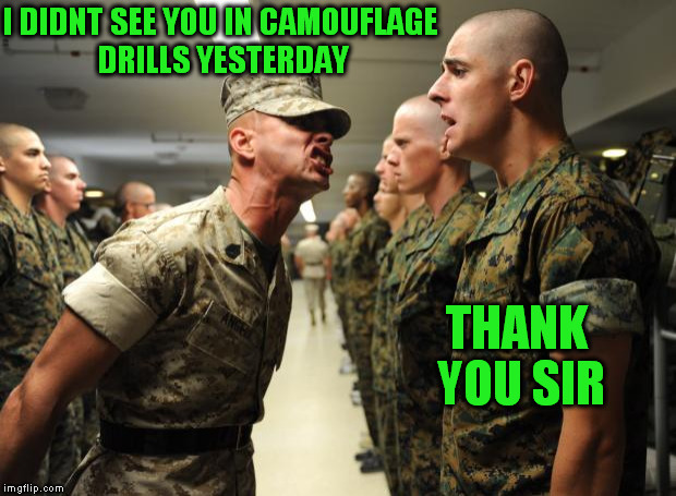 drill sergeant | I DIDNT SEE YOU IN CAMOUFLAGE DRILLS YESTERDAY; THANK YOU SIR | image tagged in drill sergeant | made w/ Imgflip meme maker