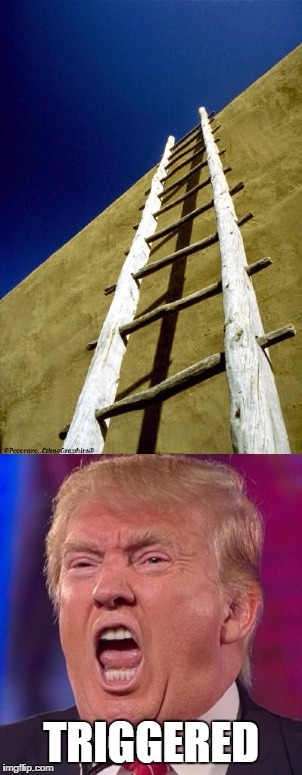Came to make a meme today, and this is what came out. | TRIGGERED | image tagged in donald trump,triggered,great wall of trump,ladders,they could dig a hole too | made w/ Imgflip meme maker
