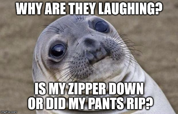 Awkward Moment Sealion Meme | WHY ARE THEY LAUGHING? IS MY ZIPPER DOWN OR DID MY PANTS RIP? | image tagged in memes,awkward moment sealion | made w/ Imgflip meme maker