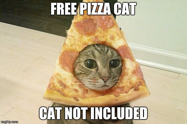Free Pizza Cat | FREE PIZZA CAT; CAT NOT INCLUDED | image tagged in cat,pizza | made w/ Imgflip meme maker