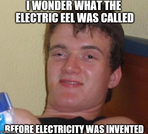 10 Guy Meme | I WONDER WHAT THE ELECTRIC EEL WAS CALLED; BEFORE ELECTRICITY WAS INVENTED | image tagged in memes,10 guy | made w/ Imgflip meme maker
