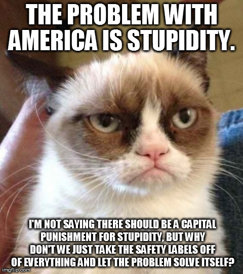 Grumpy Cat Reverse Meme | THE PROBLEM WITH AMERICA IS STUPIDITY.
  I'M NOT SAYING THERE SHOULD BE A CAPITAL PUNISHMENT FOR STUPIDITY, BUT WHY DON'T WE JUST TAKE THE S | image tagged in memes,grumpy cat | made w/ Imgflip meme maker