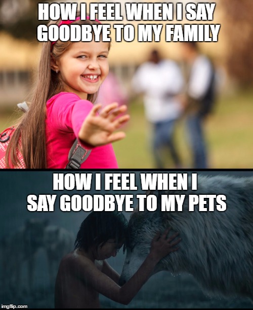 Emotional goodbye to pets | HOW I FEEL WHEN I SAY GOODBYE TO MY FAMILY; HOW I FEEL WHEN I SAY GOODBYE TO MY PETS | image tagged in saying goodbye,family,pets,mowgli,wolf,memes | made w/ Imgflip meme maker