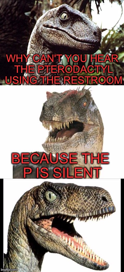 Bad Pun Velociraptor | WHY CAN'T YOU HEAR THE PTERODACTYL USING THE RESTROOM; BECAUSE THE P IS SILENT | image tagged in bad pun velociraptor | made w/ Imgflip meme maker