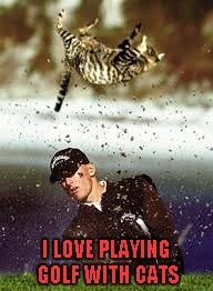 I LOVE PLAYING GOLF WITH CATS | made w/ Imgflip meme maker