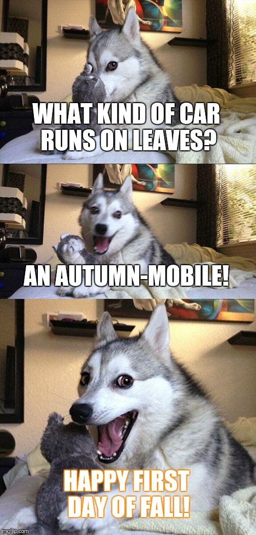 The new 2016 Lawnda | WHAT KIND OF CAR RUNS ON LEAVES? AN AUTUMN-MOBILE! HAPPY FIRST DAY OF FALL! | image tagged in memes,bad pun dog,car,autumn,fall,first day of fall | made w/ Imgflip meme maker
