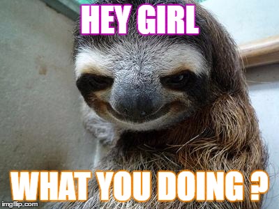 Creeper Sloth | HEY GIRL; WHAT YOU DOING ? | image tagged in creeper sloth | made w/ Imgflip meme maker