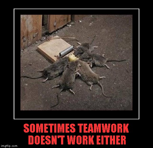 Those 5 mice just got demotivated!!! | SOMETIMES TEAMWORK DOESN'T WORK EITHER | image tagged in teamwork,memes,demotivational week,funny,animals,demotivational | made w/ Imgflip meme maker