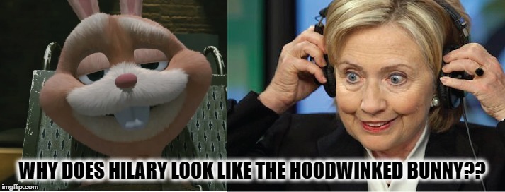 Hoodwinked Hilary  | WHY DOES HILARY LOOK LIKE THE HOODWINKED BUNNY?? | image tagged in hilary clinton,hillary clinton 2016,2016 election,clinton,hoodwinked,crooked | made w/ Imgflip meme maker