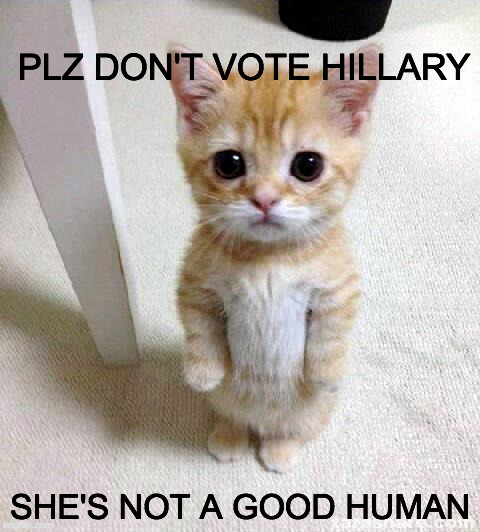 Cute Cat isn't endorsing, but knows who for sure who not to vote for. | PLZ DON'T VOTE HILLARY; SHE'S NOT A GOOD HUMAN | image tagged in memes,cute cat,trump,hillary clinton,jill stein,gary johnson | made w/ Imgflip meme maker
