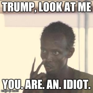 Look At Me | TRUMP, LOOK AT ME; YOU. ARE. AN. IDIOT. | image tagged in memes,look at me | made w/ Imgflip meme maker