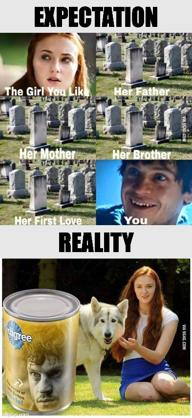 Expectations vs Reality | EXPECTATION; REALITY | image tagged in game of thrones,ramsay bolton,sansa stark | made w/ Imgflip meme maker