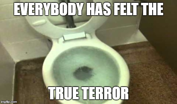 EVERYBODY HAS FELT THE; TRUE TERROR | image tagged in toilet,overflow,terror,horror,seat,bowl | made w/ Imgflip meme maker