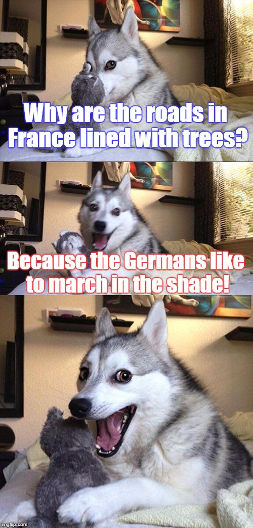 Bad Pun Dog Meme | Why are the roads in France lined with trees? Because the Germans like to march in the shade! | image tagged in memes,bad pun dog | made w/ Imgflip meme maker