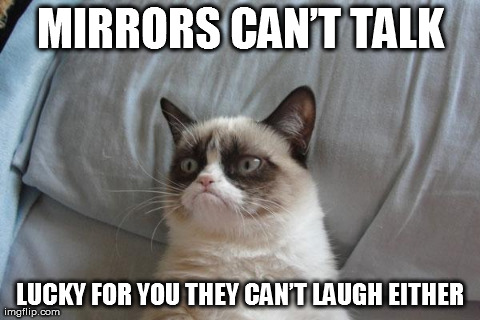 Grumpy Cat Bed Meme | image tagged in memes,grumpy cat | made w/ Imgflip meme maker