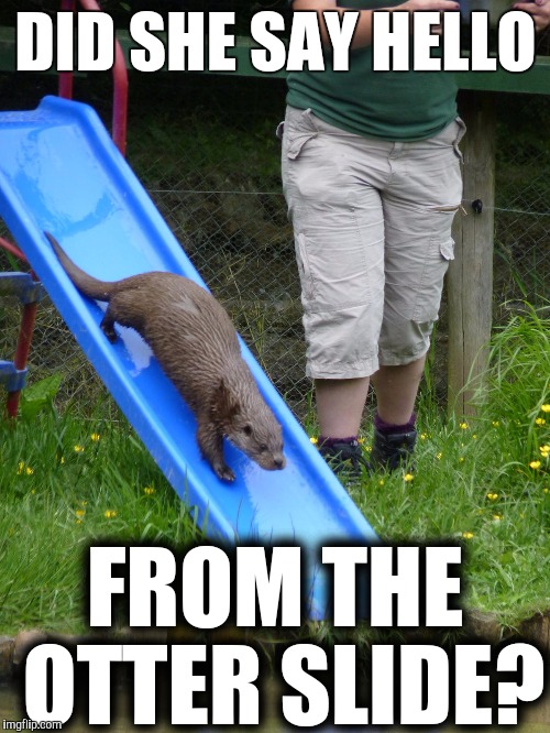 DID SHE SAY HELLO FROM THE OTTER SLIDE? | made w/ Imgflip meme maker