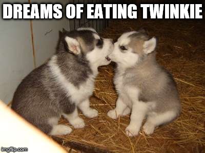 Cute Puppies | DREAMS OF EATING TWINKIE | image tagged in memes,cute puppies | made w/ Imgflip meme maker