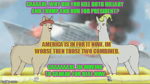 Llamas with hats | CAAAARL, WHY DID YOU KILL BOTH HILLARY AND TRUMP AND RUN FOR PRESIDENT? AMERICA IS IN FOR IT NOW. IM WORSE THEN THOSE TWO COMBINED. CAAAAAARL, IM MOVING TO CANADA FOR REAL NOW. | image tagged in llamas with hats | made w/ Imgflip meme maker