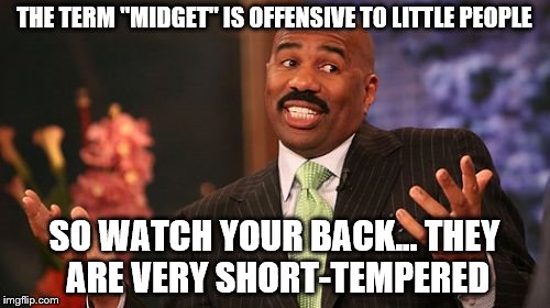 The little things in life... | THE TERM "MIDGET" IS OFFENSIVE TO LITTLE PEOPLE; SO WATCH YOUR BACK... THEY ARE VERY SHORT-TEMPERED | image tagged in memes,steve harvey | made w/ Imgflip meme maker