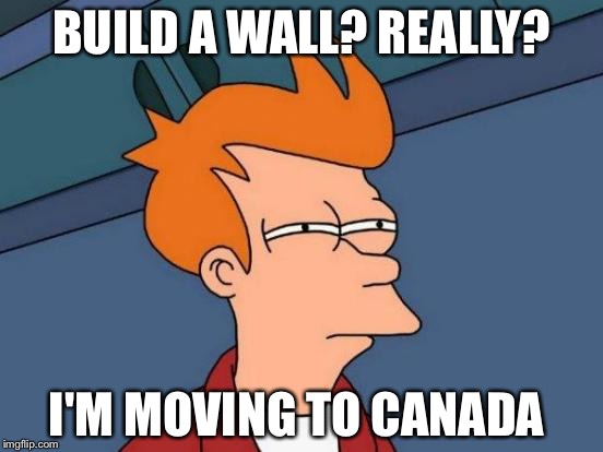 Futurama Fry | BUILD A WALL? REALLY? I'M MOVING TO CANADA | image tagged in memes,futurama fry | made w/ Imgflip meme maker