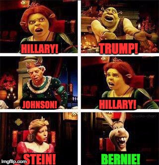 Shrek and Fiona Meme Generator - Imgflip