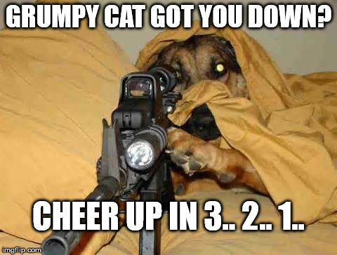 Grumpy Cat Got You Feeling Down? | GRUMPY CAT GOT YOU DOWN? CHEER UP IN 3.. 2.. 1.. | image tagged in sniper dog,memes,my templates challenge,grumpy cat,cat down,shoot the wings off a fly | made w/ Imgflip meme maker