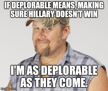 Larry The Cable Guy | IF DEPLORABLE MEANS, MAKING SURE HILLARY DOESN'T WIN; I'M AS DEPLORABLE AS THEY COME. | image tagged in memes,larry the cable guy | made w/ Imgflip meme maker