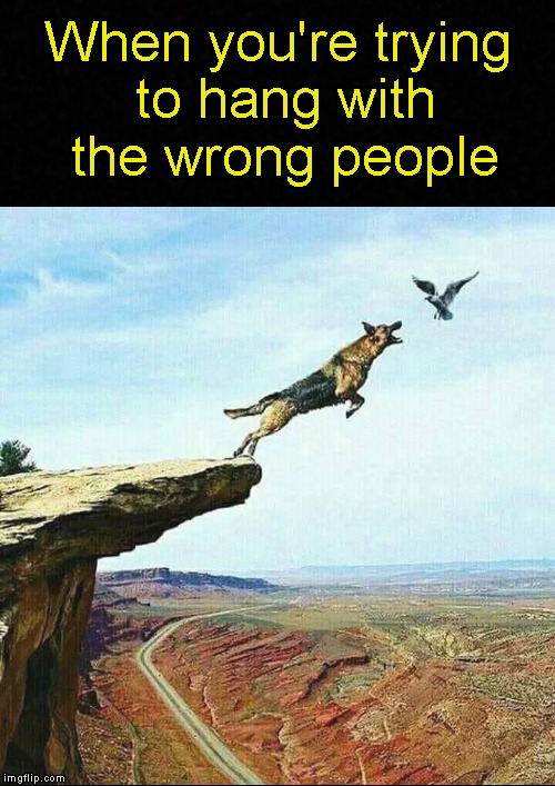 But y'all ain't listening, tho'.... | When you're trying to hang with the wrong people | image tagged in funny memes,bad friends,relationship advice,fake friends,meme | made w/ Imgflip meme maker