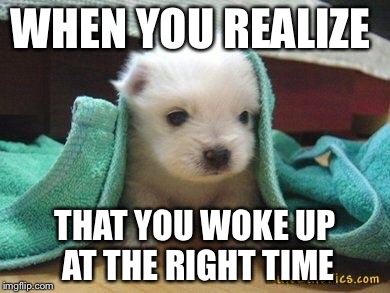 Cute puppy | WHEN YOU REALIZE; THAT YOU WOKE UP AT THE RIGHT TIME | image tagged in cute puppy | made w/ Imgflip meme maker